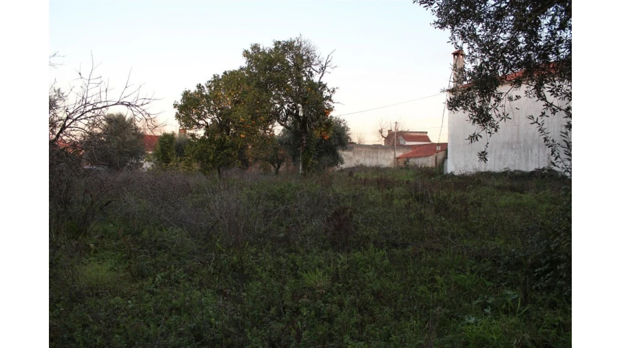 Terreno para Venda em Sebal e Belide Foto 2