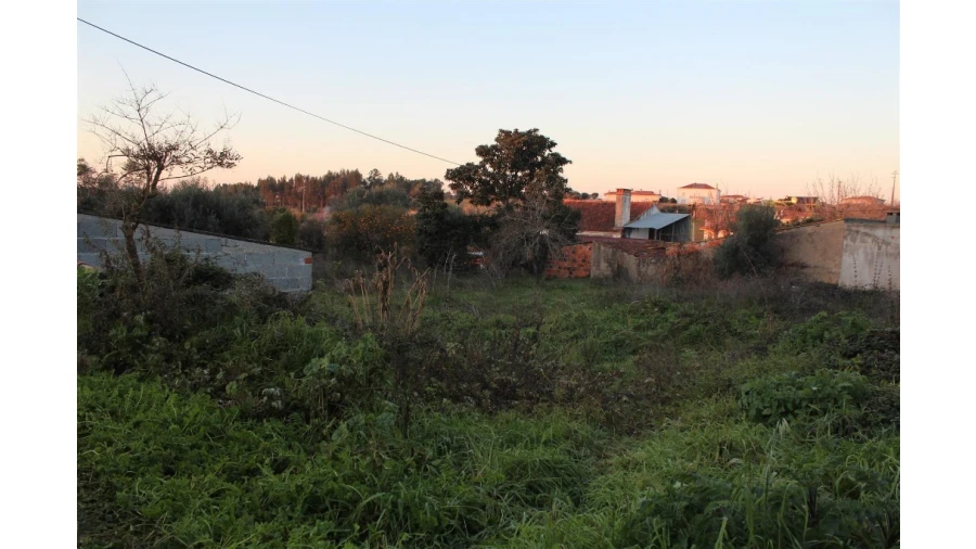 Terreno para Venda em Sebal e Belide Foto 4