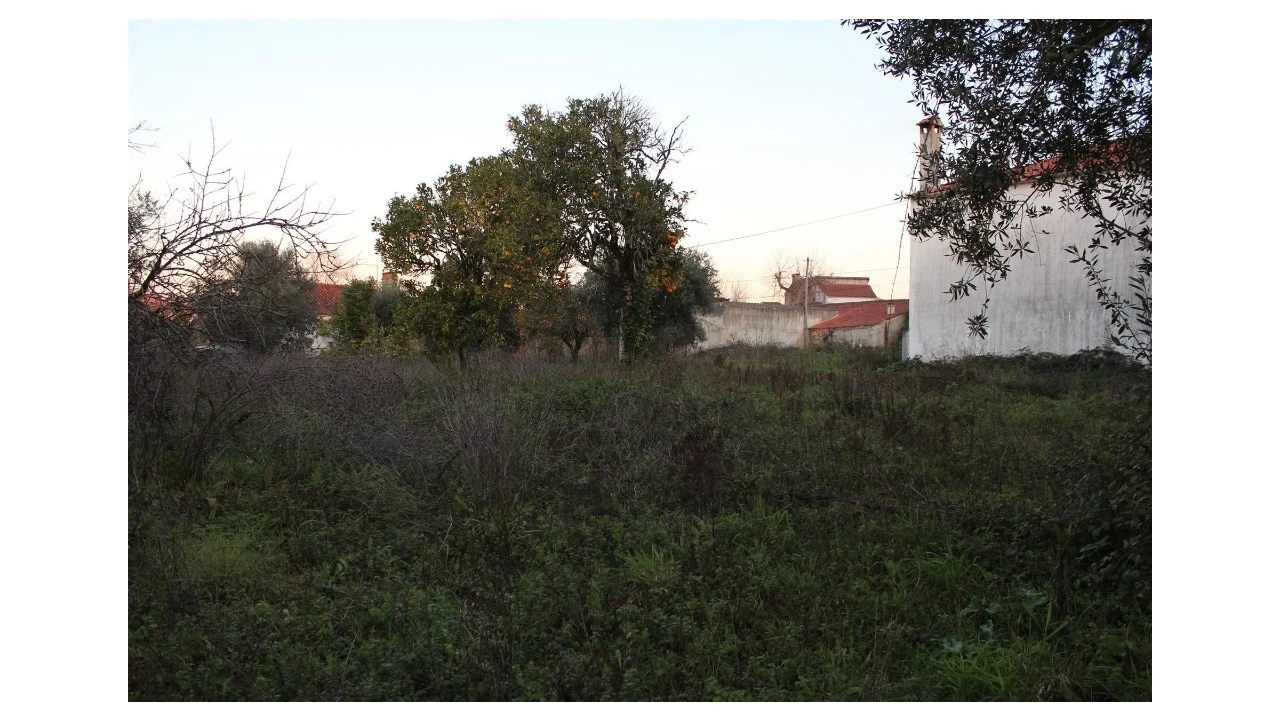 Terreno para Venda em Sebal e Belide Foto 2