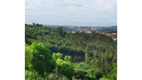 Terreno para Venda em Almalagues