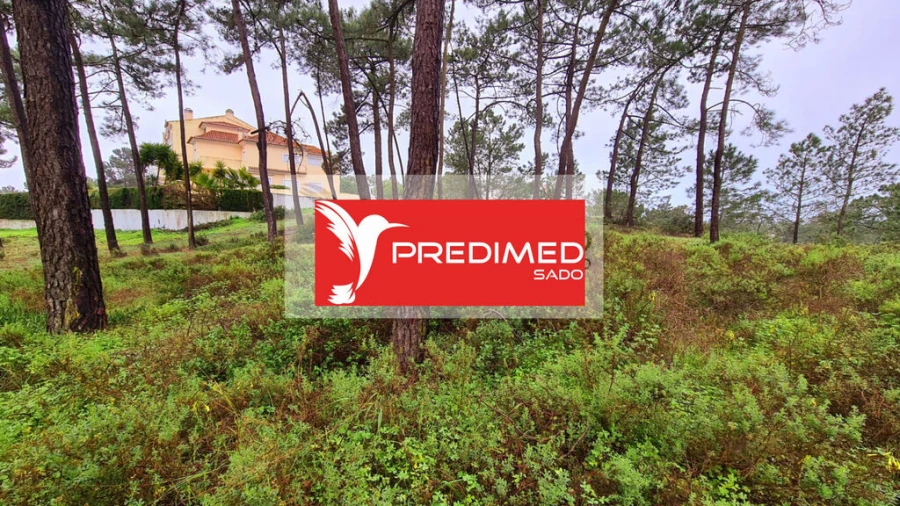 Terreno para Venda em Carvalhal Foto 11