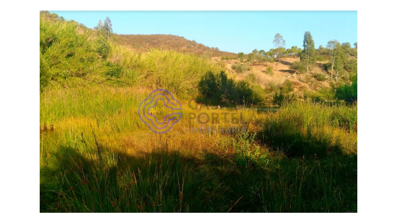 Terreno para Venda em Martim Longo Foto 2