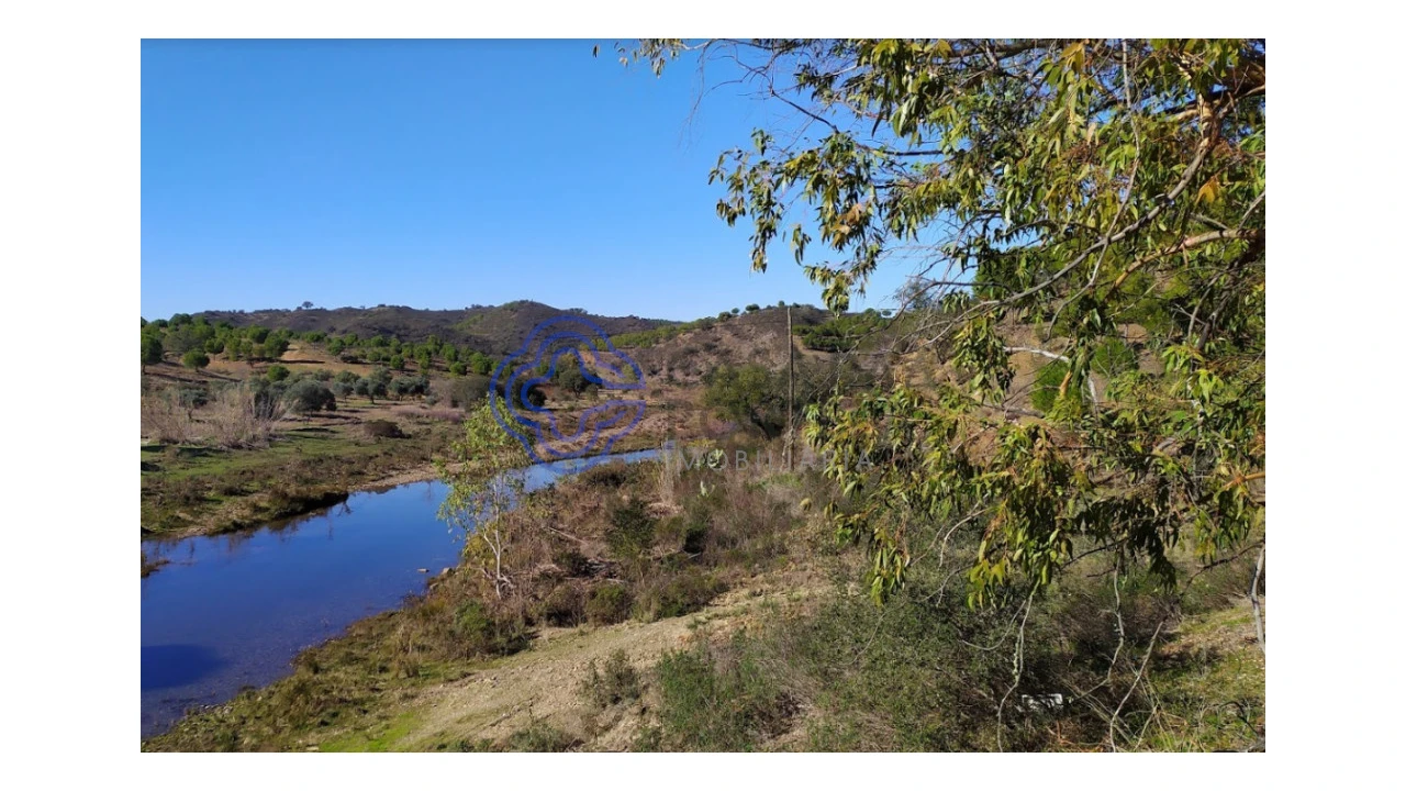 Terreno para Venda em Martim Longo Foto 3