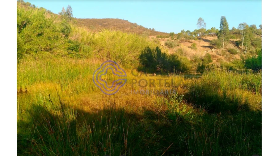 Terreno para Venda em Martim Longo Foto 2