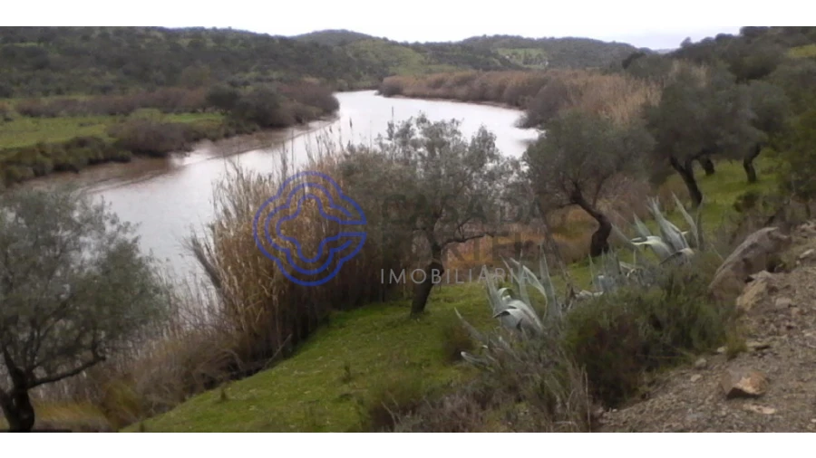 Terreno para Venda em Martim Longo