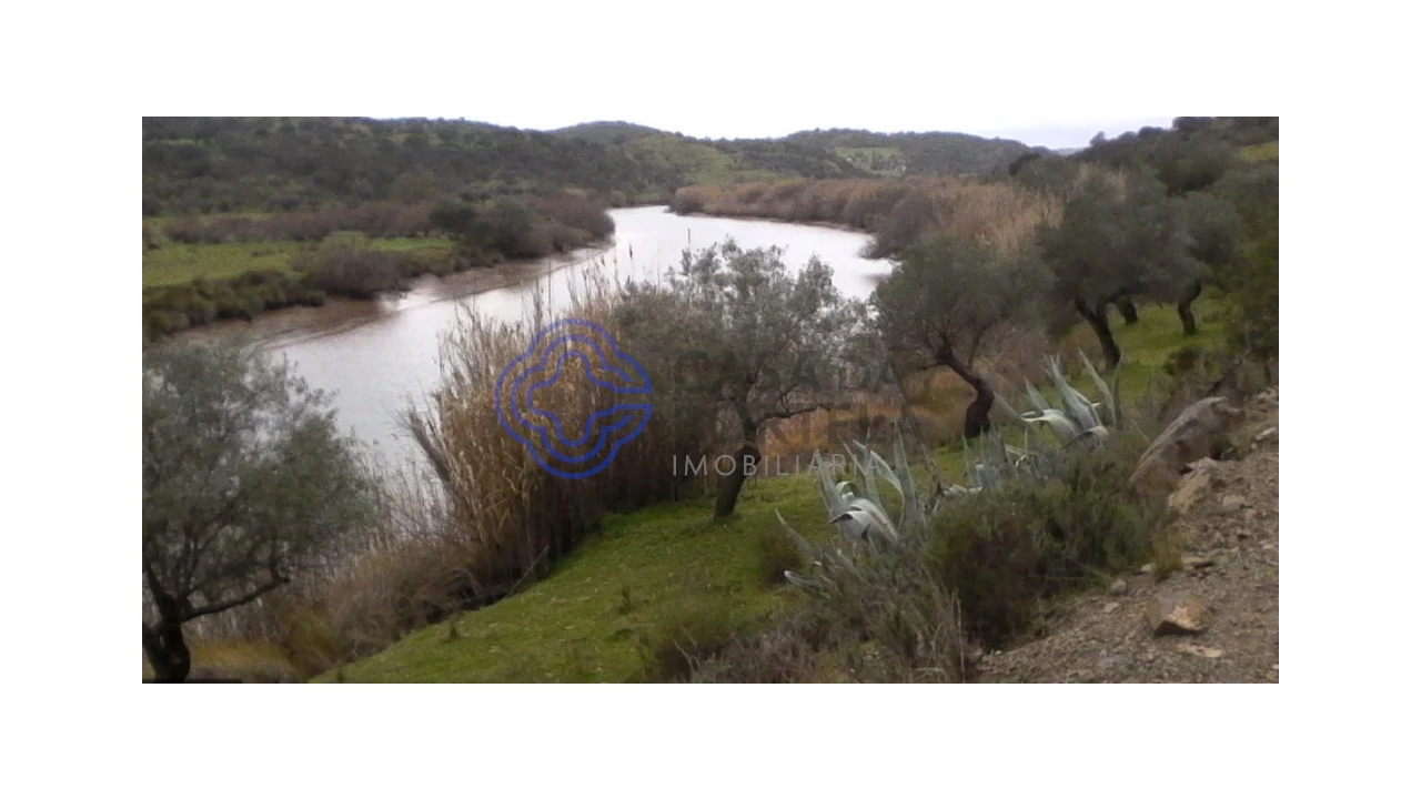 Terreno para Venda em Martim Longo Foto 1