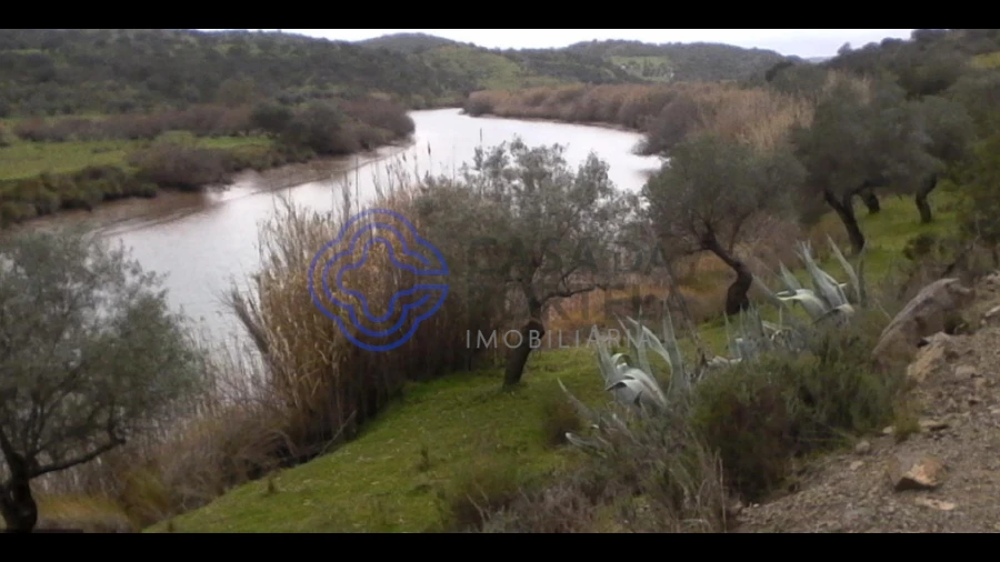 Terreno para Venda em Martim Longo
