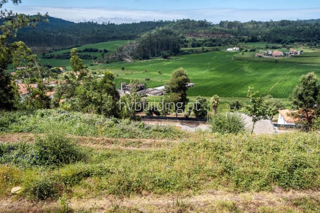 Terreno para Venda em Abade de Neiva Foto 10