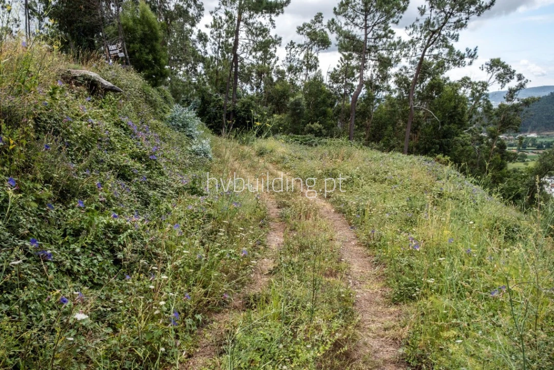 Terreno para Venda em Abade de Neiva Foto 6
