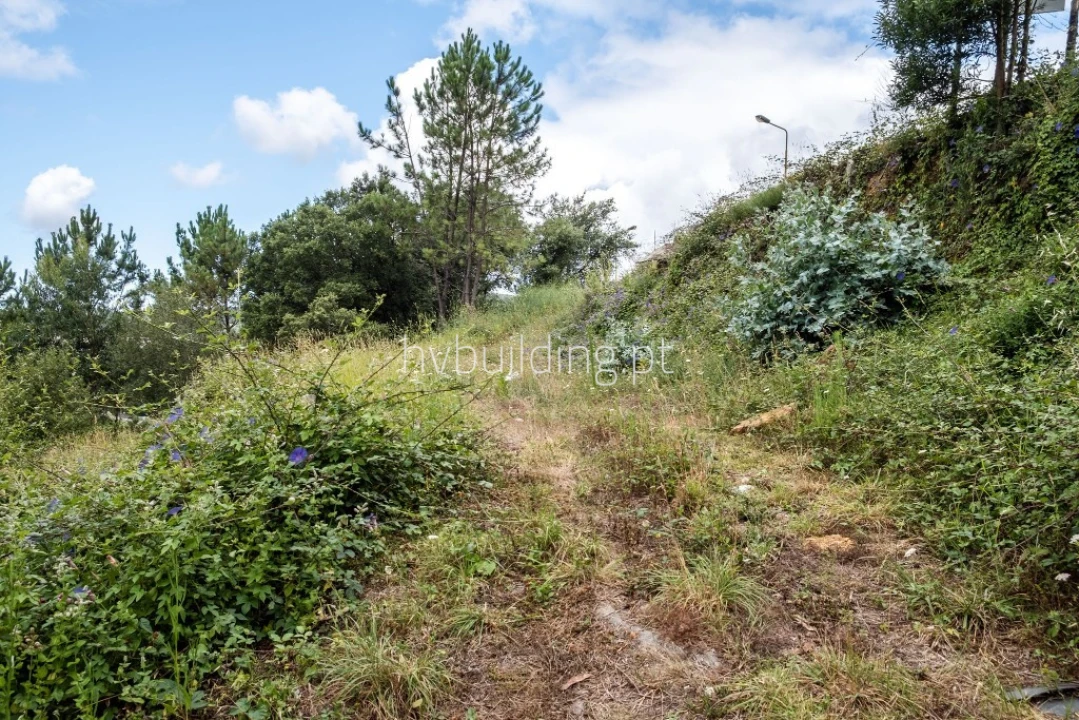 Terreno para Venda em Abade de Neiva Foto 7