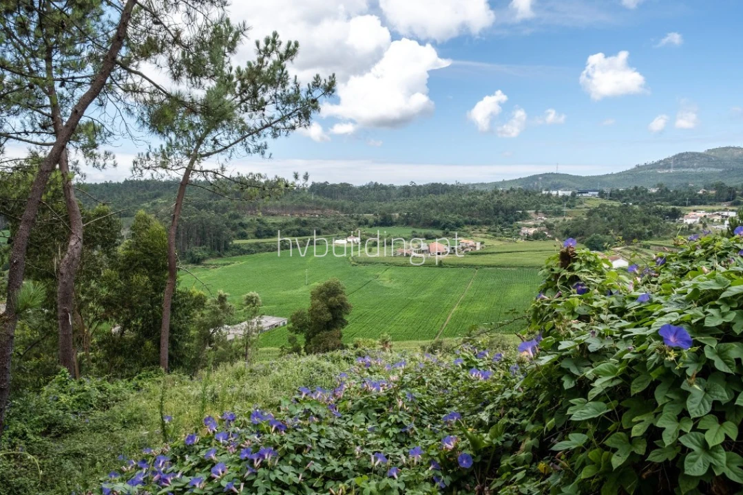 Terreno para Venda em Abade de Neiva Foto 2