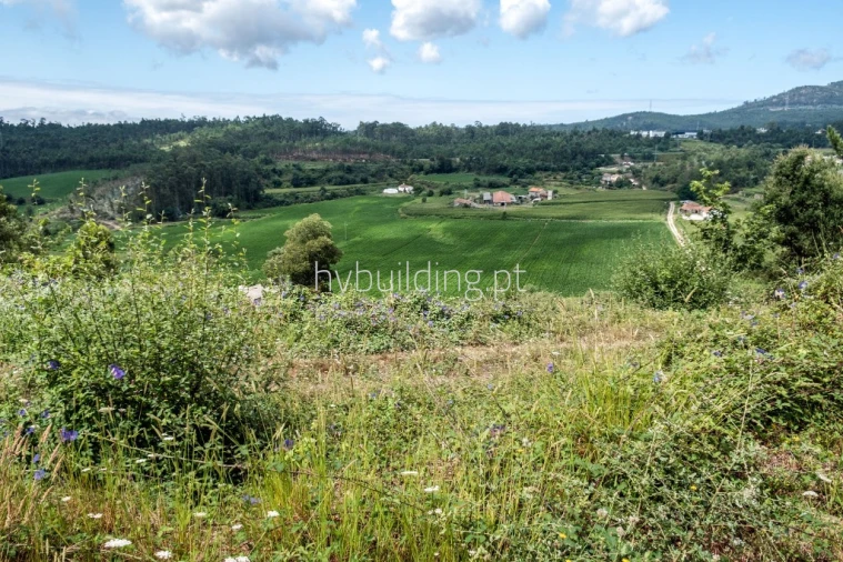 Terreno para Venda em Abade de Neiva Foto 8