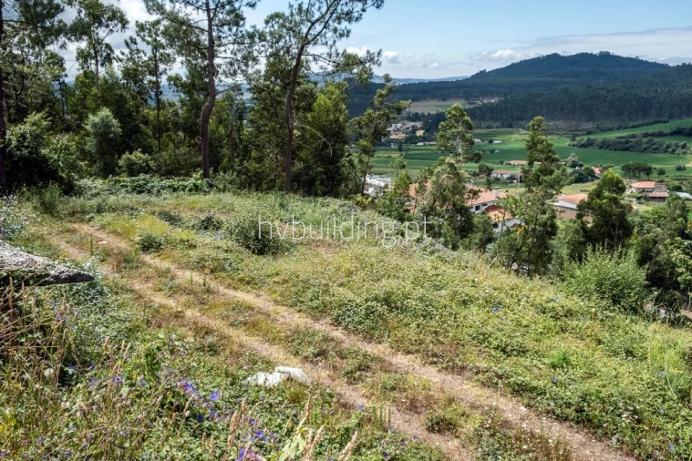 Terreno para Venda em Abade de Neiva Foto 13