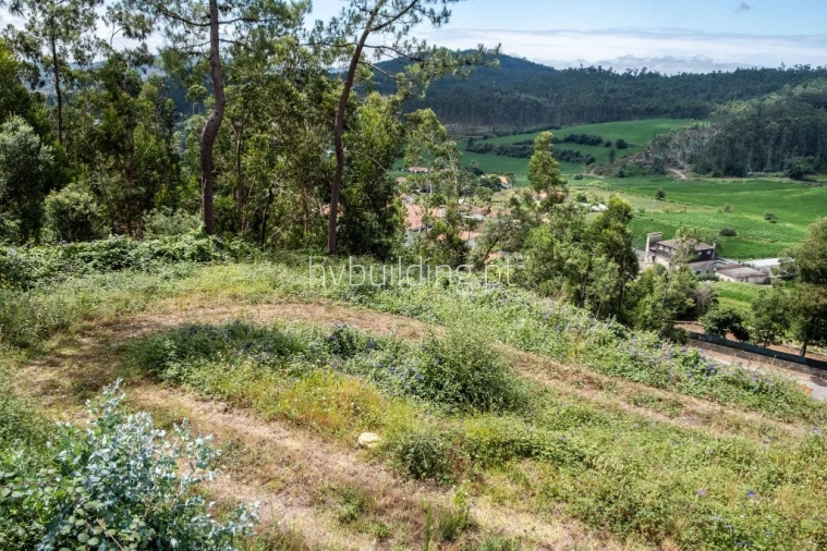 Terreno para Venda em Abade de Neiva Foto 9