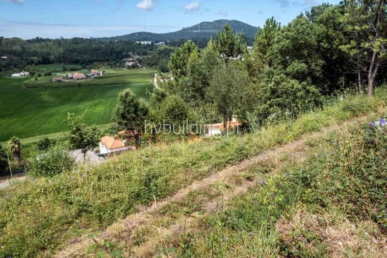 Terreno para Venda em Abade de Neiva Foto 11