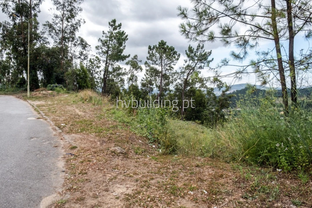 Terreno para Venda em Abade de Neiva Foto 5