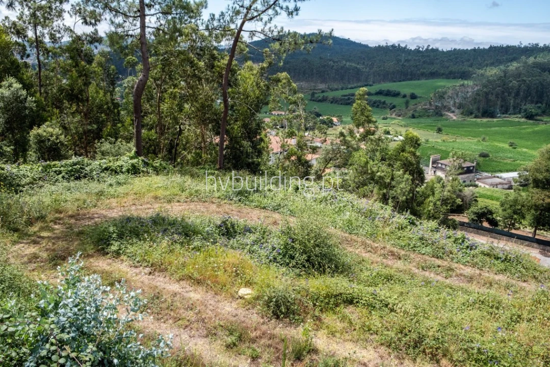 Terreno para Venda em Abade de Neiva Foto 9