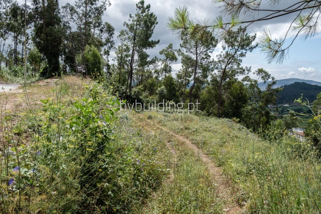Terreno para Venda em Abade de Neiva Foto 12