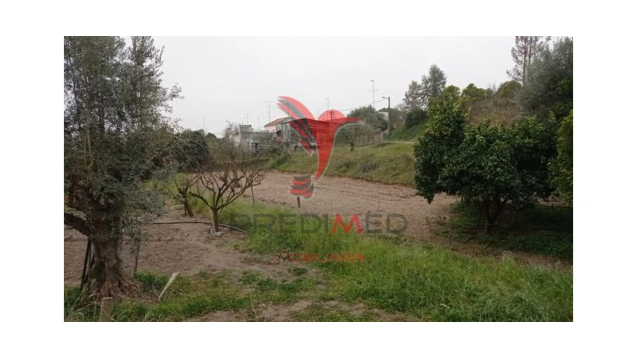 Terreno para Venda em Couço Foto 5