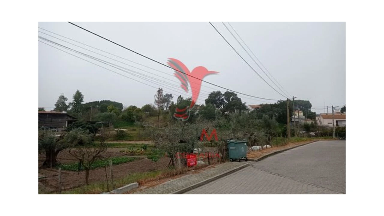 Terreno para Venda em Couço Foto 13