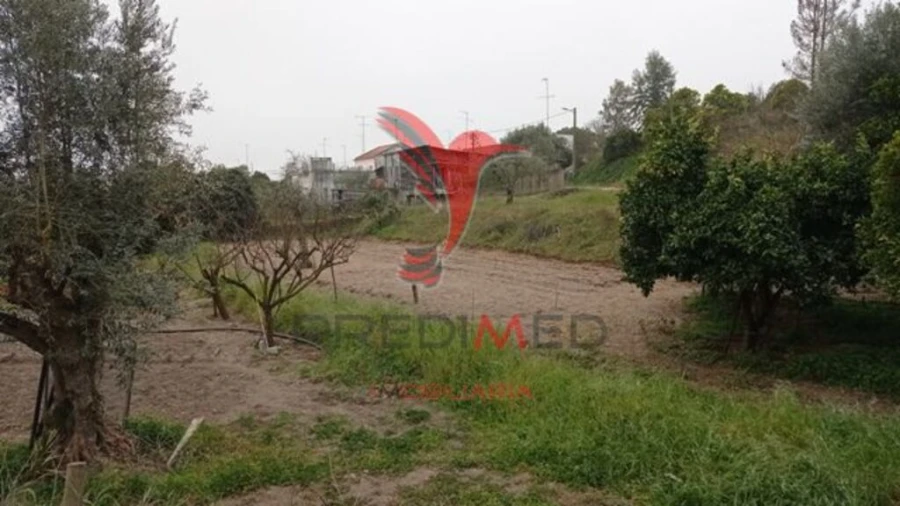 Terreno para Venda em Couço Foto 5