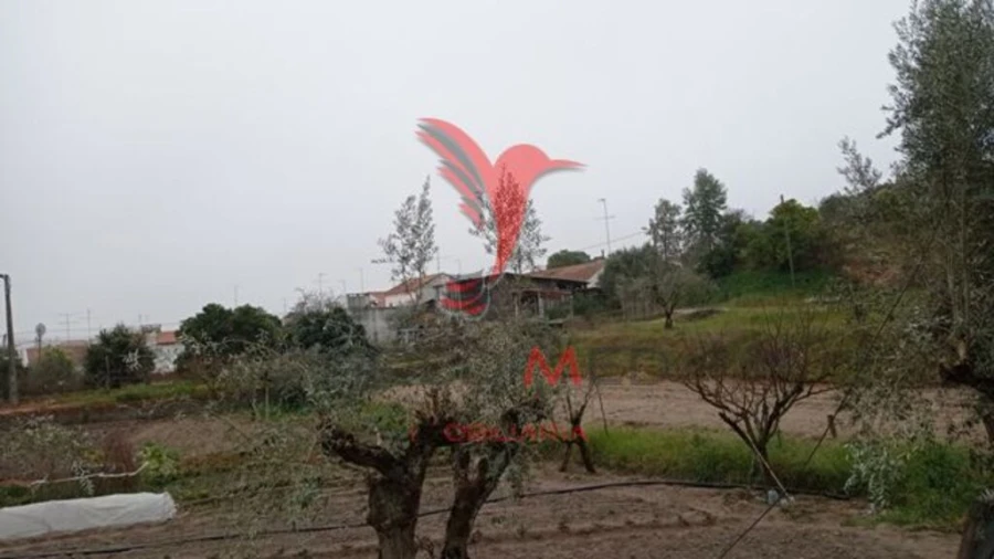 Terreno para Venda em Couço Foto 7