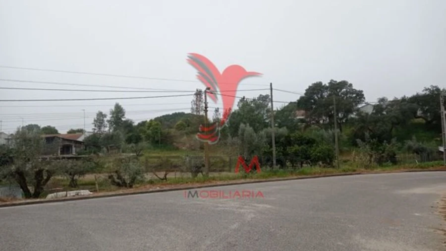 Terreno para Venda em Couço Foto 8