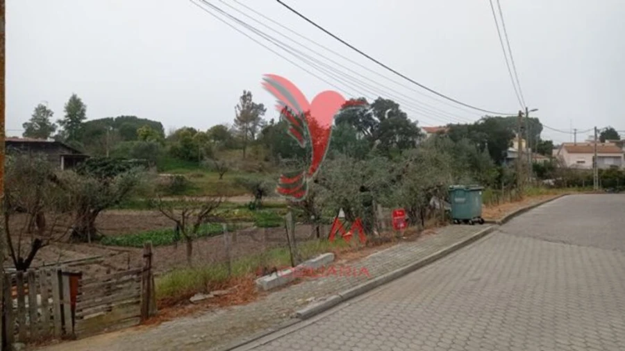 Terreno para Venda em Couço Foto 12