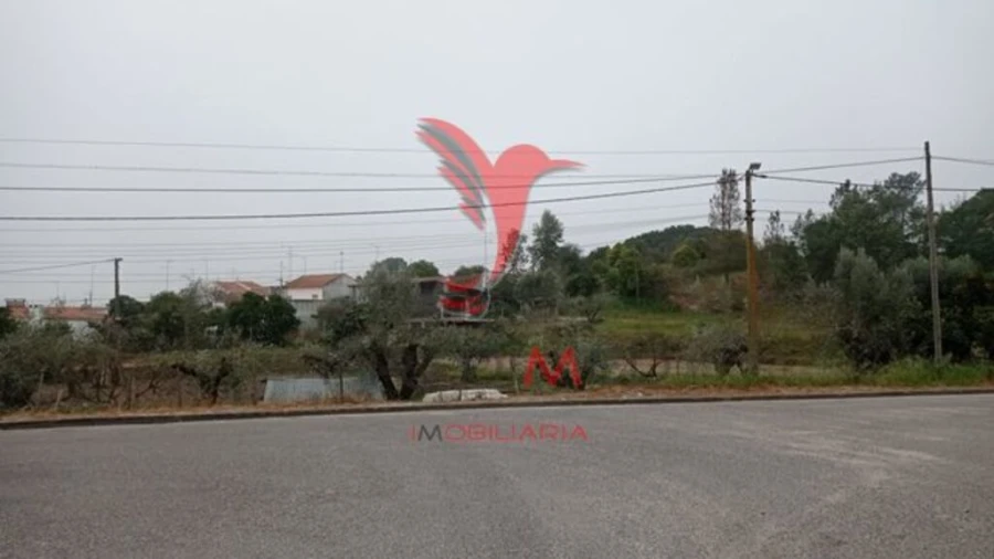 Terreno para Venda em Couço Foto 9