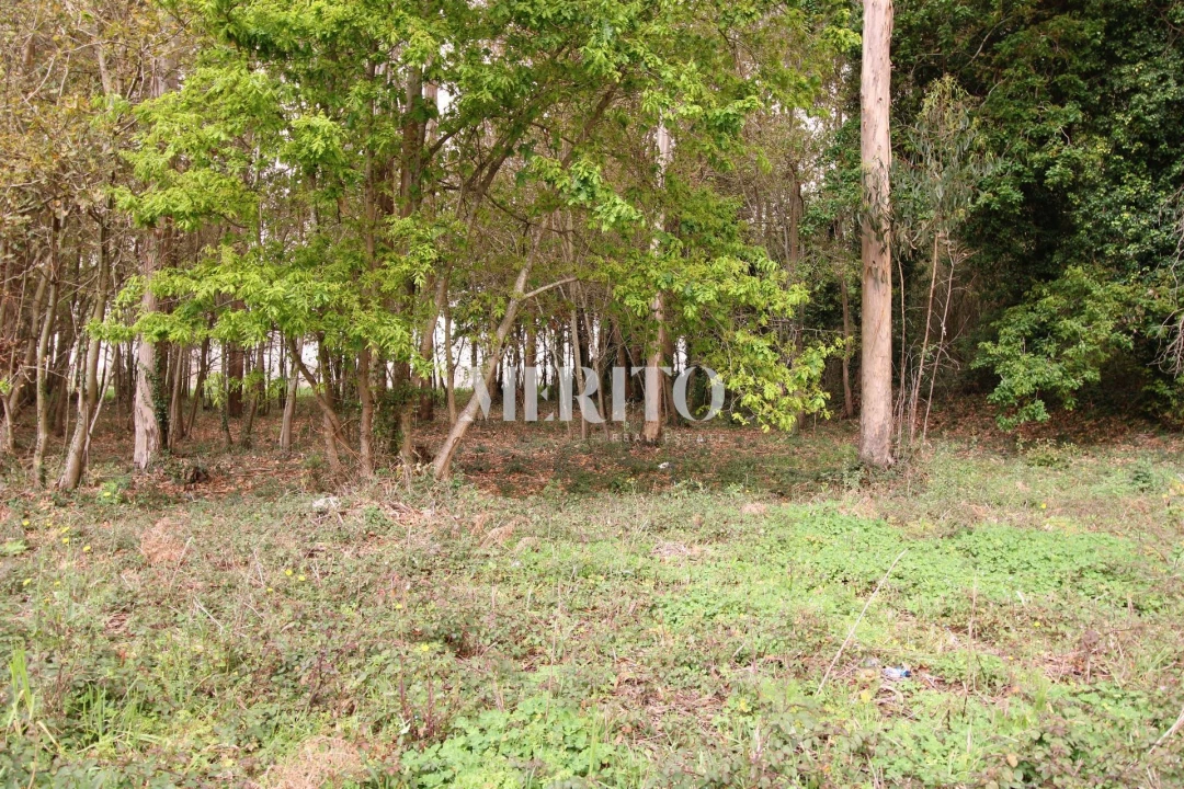 Terreno para Venda em Aveleda Foto 2