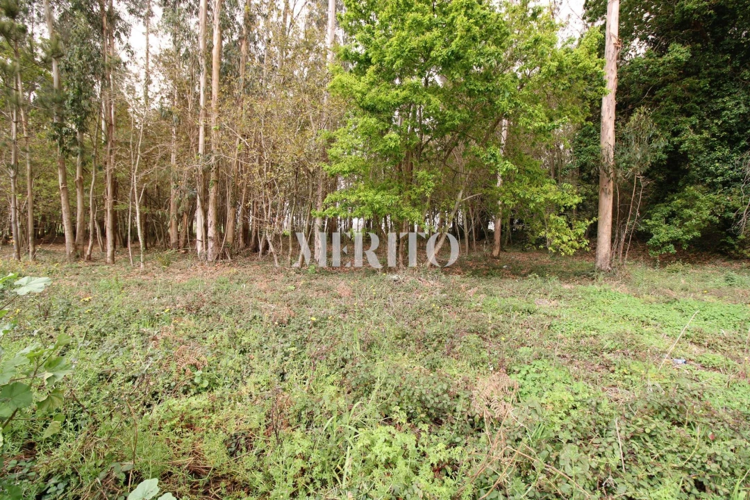 Terreno para Venda em Aveleda Foto 13