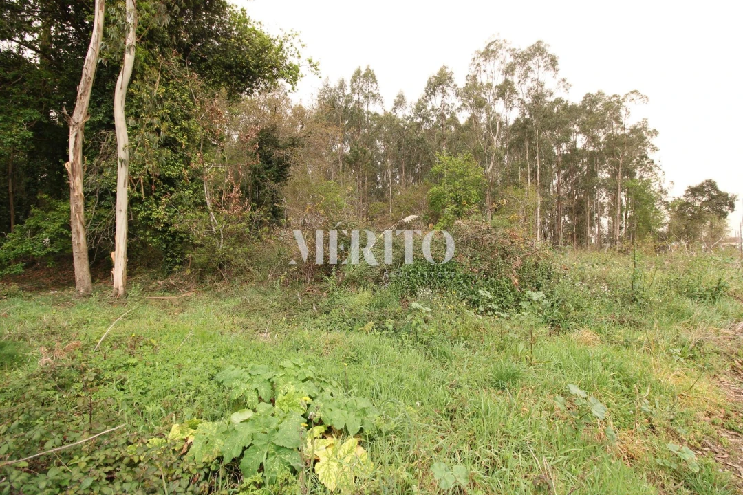 Terreno para Venda em Aveleda Foto 15