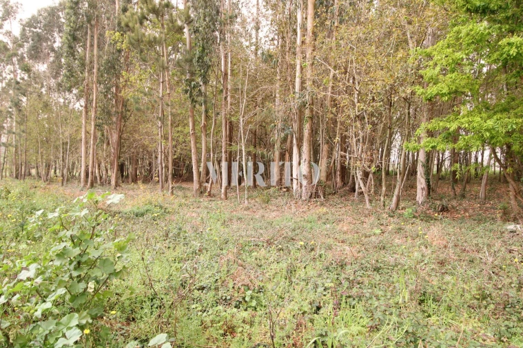 Terreno para Venda em Aveleda