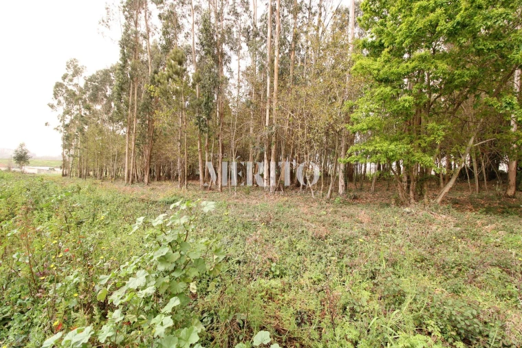Terreno para Venda em Aveleda Foto 12