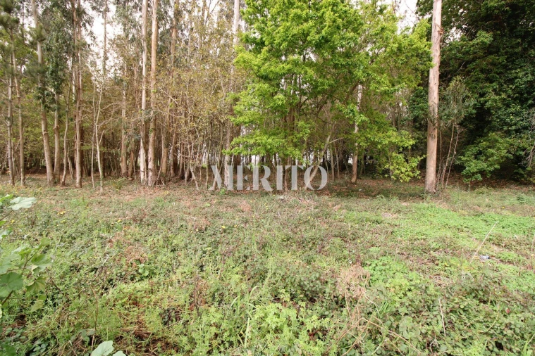 Terreno para Venda em Aveleda Foto 13