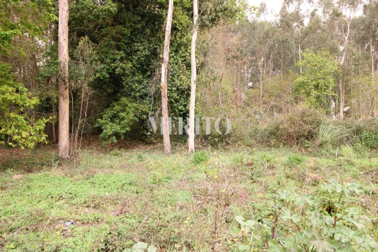 Terreno para Venda em Aveleda Foto 8