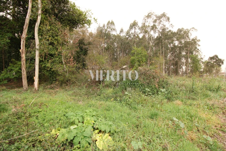 Terreno para Venda em Aveleda Foto 15