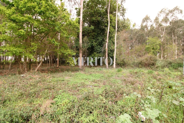Terreno para Venda em Aveleda Foto 14