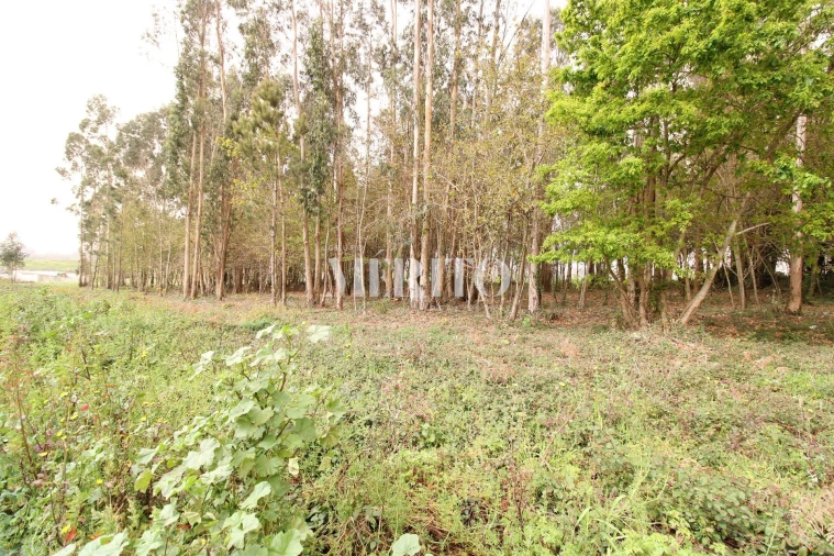 Terreno para Venda em Aveleda Foto 11