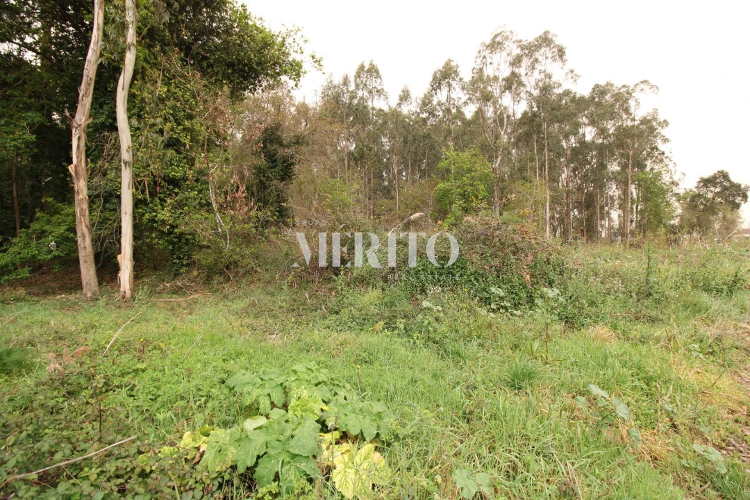 Terreno para Venda em Aveleda Foto 9