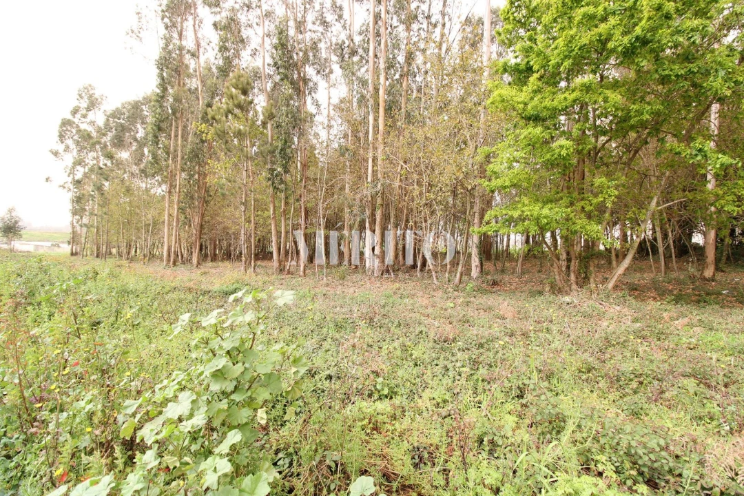 Terreno para Venda em Aveleda Foto 11