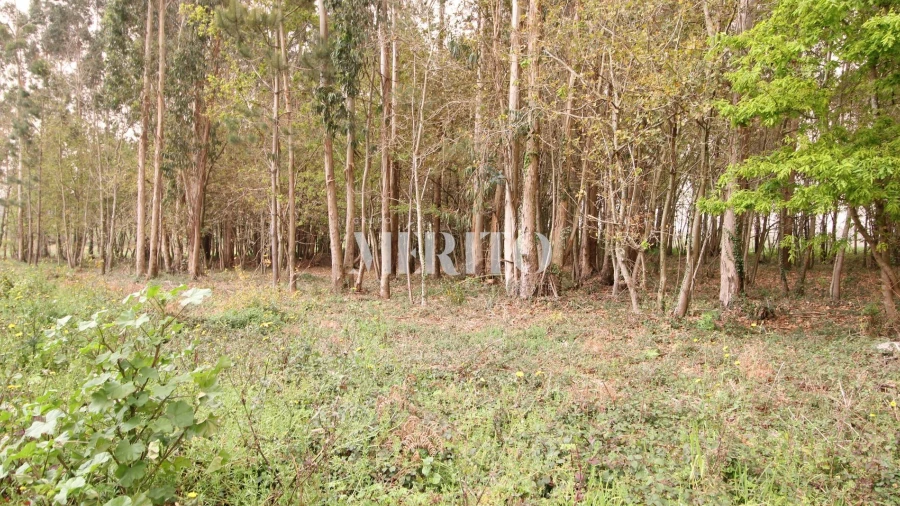 Terreno para Venda em Aveleda