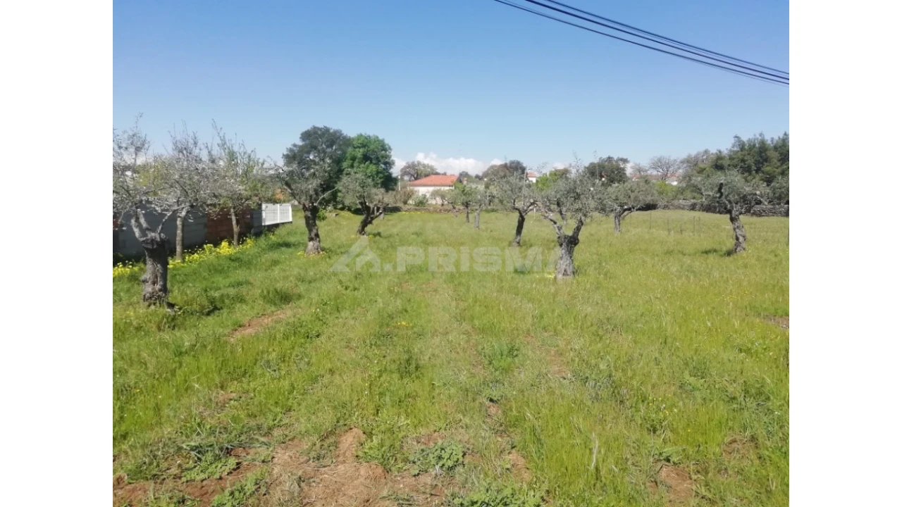 Terreno para Venda em Escalos de Baixo e Mata Foto 2