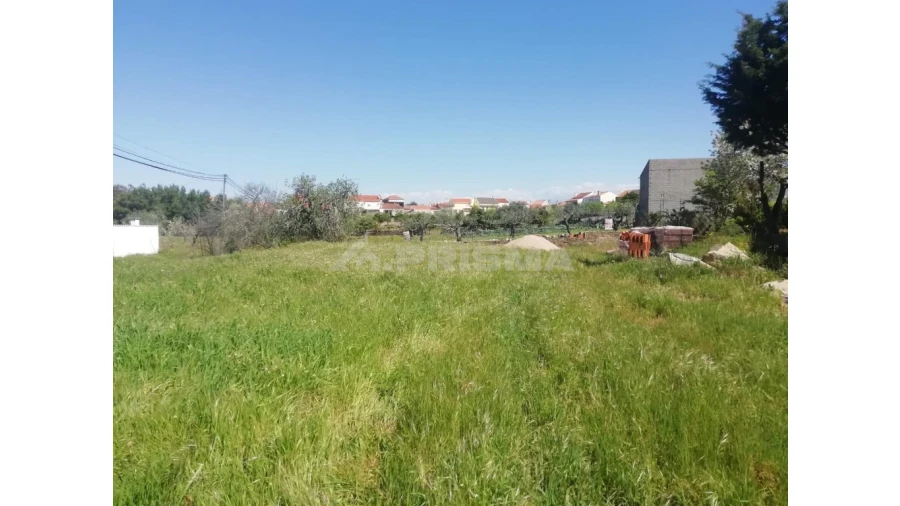Terreno para Venda em Escalos de Baixo e Mata Foto 5