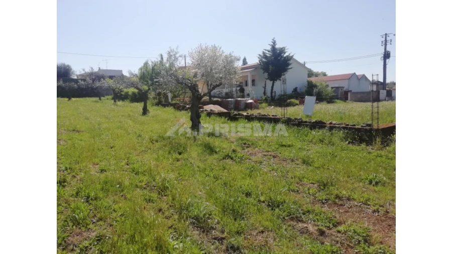 Terreno para Venda em Escalos de Baixo e Mata Foto 3