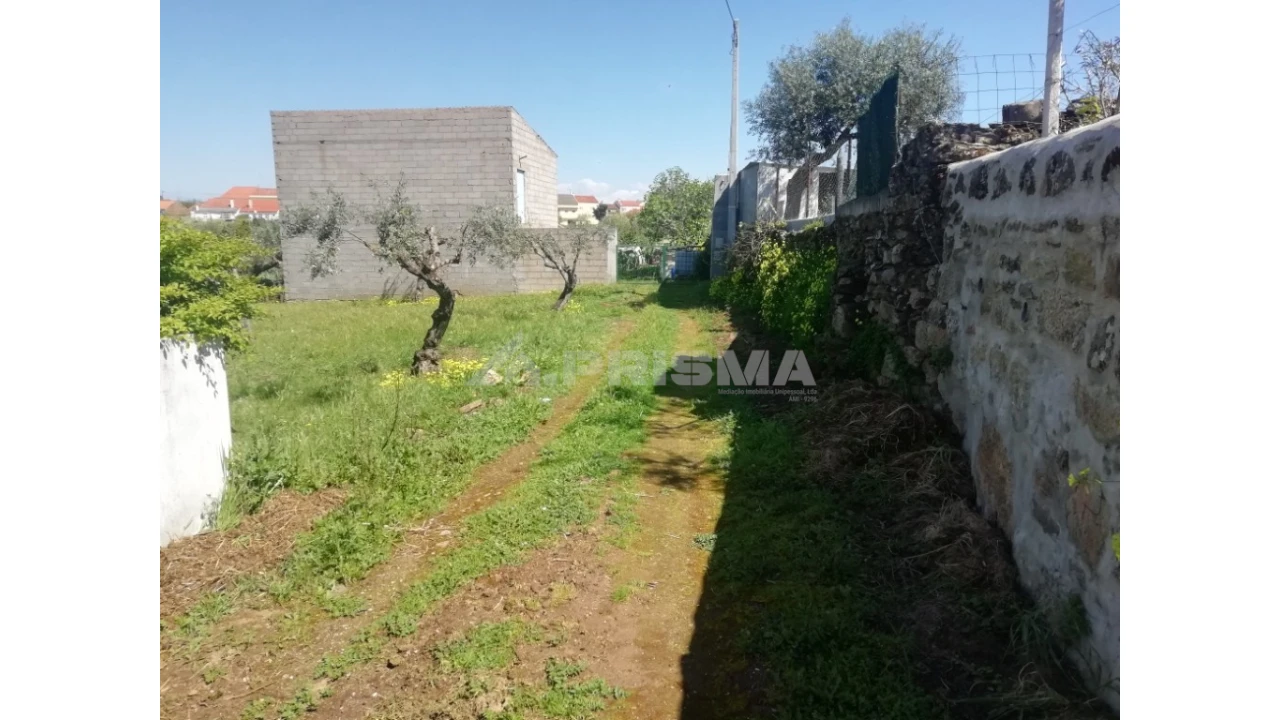 Terreno para Venda em Escalos de Baixo e Mata Foto 1