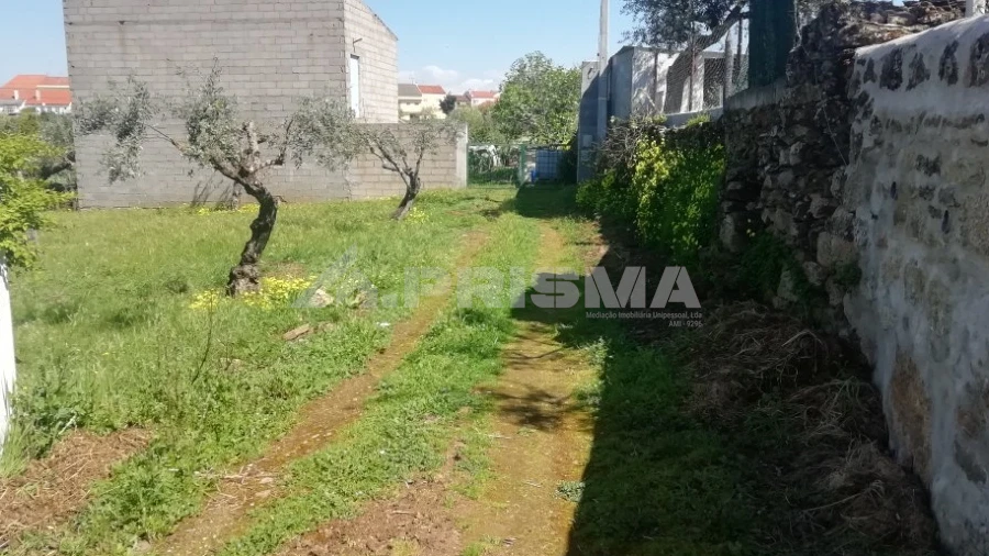 Terreno para Venda em Escalos de Baixo e Mata