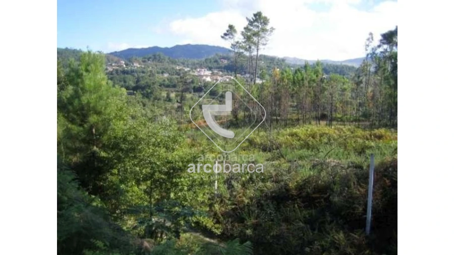 Terreno para Venda em Aguiã Foto 4