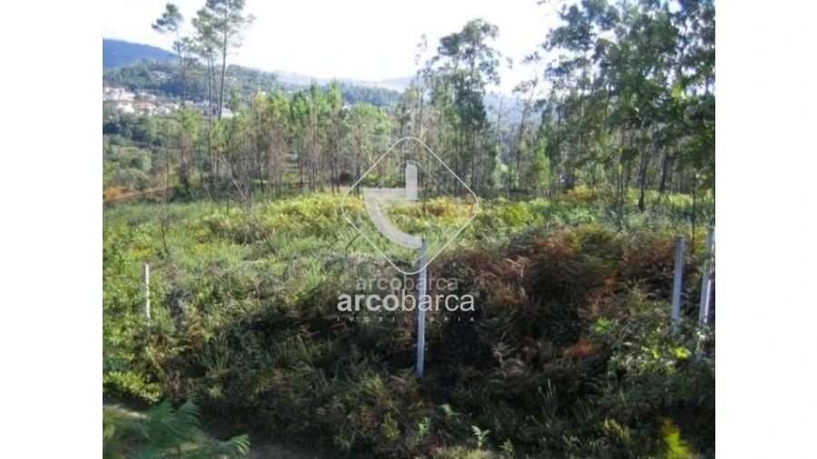 Terreno para Venda em Aguiã Foto 1