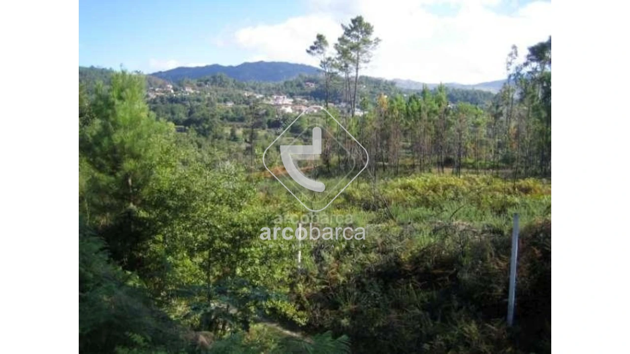 Terreno para Venda em Aguiã Foto 4